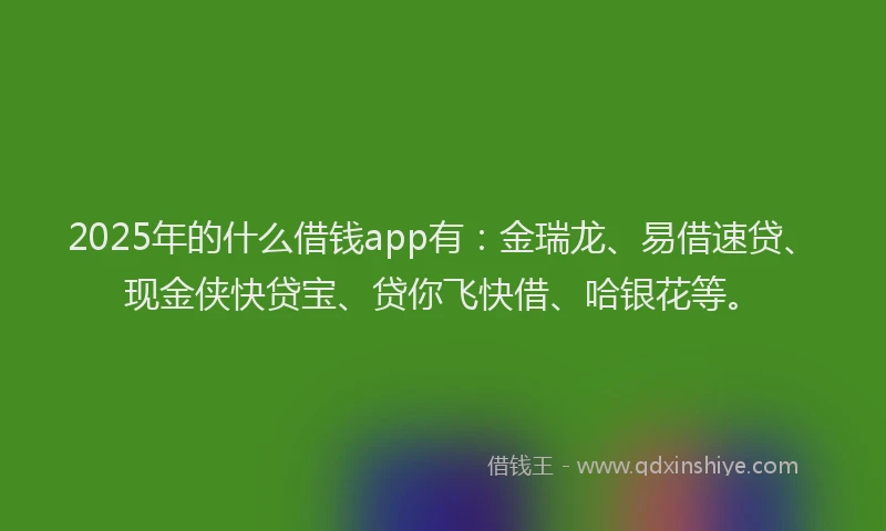 2025年的什么借钱app有：金瑞龙、易借速贷、现金侠快贷宝、贷你飞快借、哈银花等。