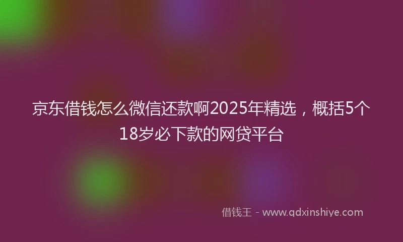 京东借钱怎么微信还款啊2025年精选，概括5个18岁必下款的网贷平台
