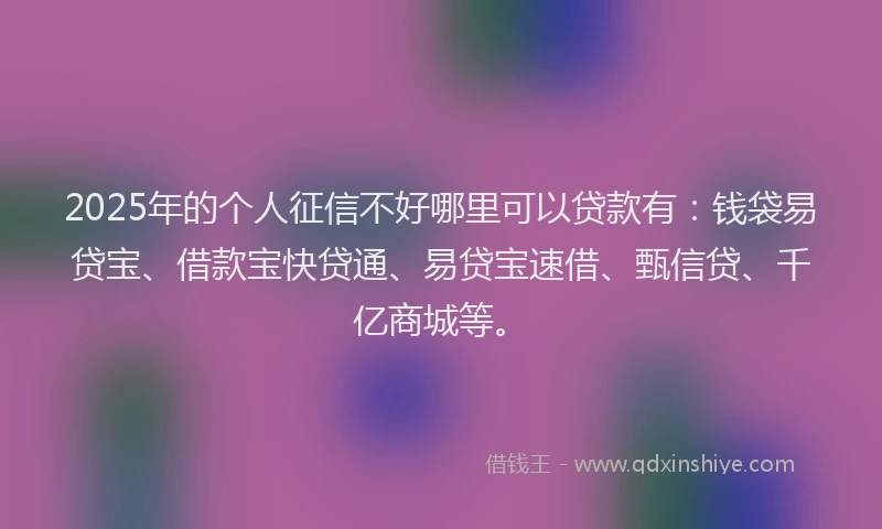 2025年的个人征信不好哪里可以贷款有：钱袋易贷宝、借款宝快贷通、易贷宝速借、甄信贷、千亿商城等。