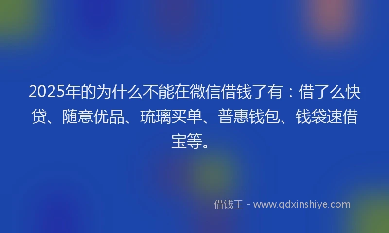 2025年的为什么不能在微信借钱了有：借了么快贷、随意优品、琉璃买单、普惠钱包、钱袋速借宝等。
