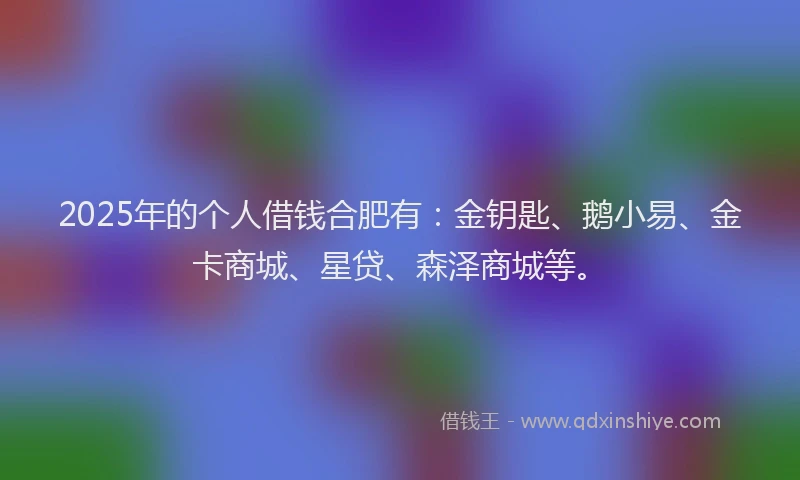2025年的个人借钱合肥有：金钥匙、鹅小易、金卡商城、星贷、森泽商城等。