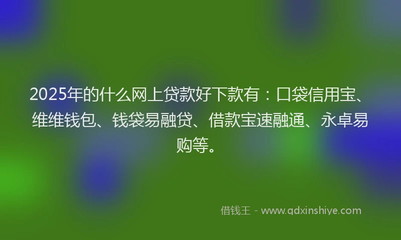 2025年的什么网上贷款好下款有：口袋信用宝、维维钱包、钱袋易融贷、借款宝速融通、永卓易购等。