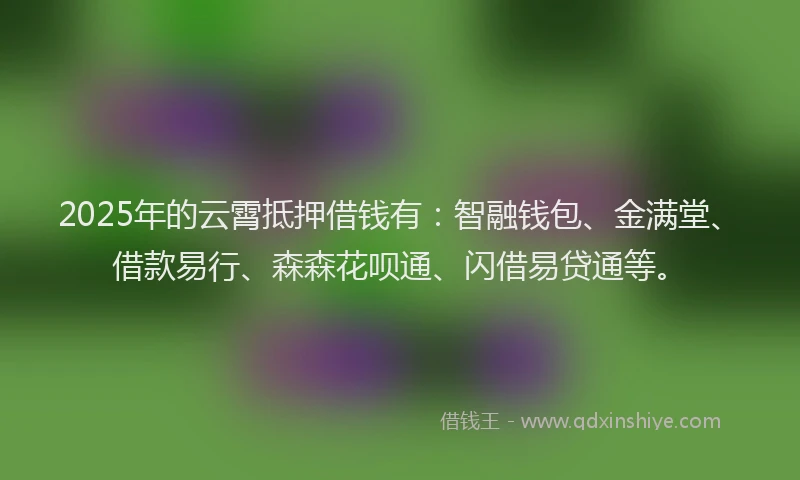 2025年的云霄抵押借钱有：智融钱包、金满堂、借款易行、森森花呗通、闪借易贷通等。