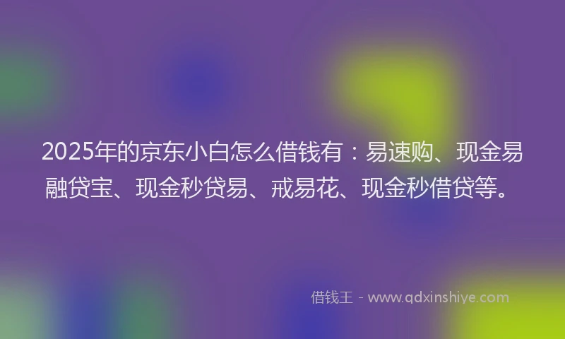 2025年的京东小白怎么借钱有：易速购、现金易融贷宝、现金秒贷易、戒易花、现金秒借贷等。