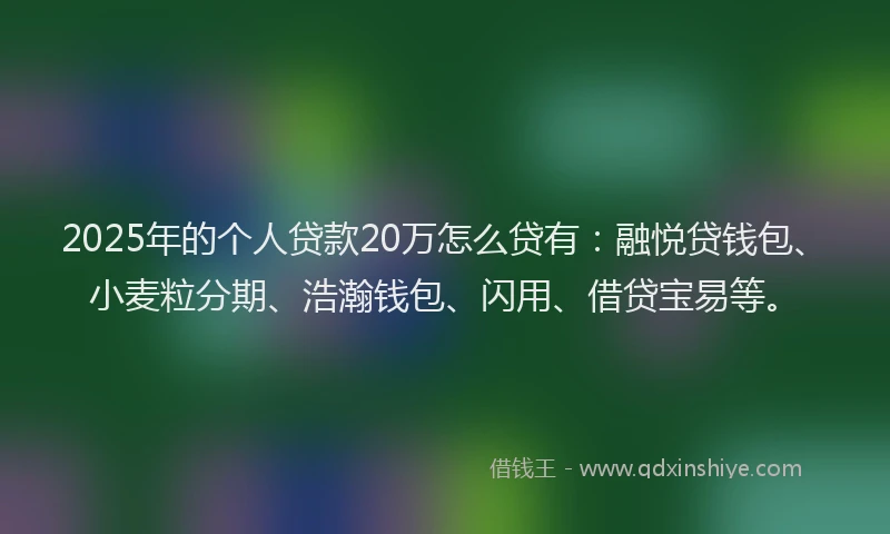 2025年的个人贷款20万怎么贷有：融悦贷钱包、小麦粒分期、浩瀚钱包、闪用、借贷宝易等。
