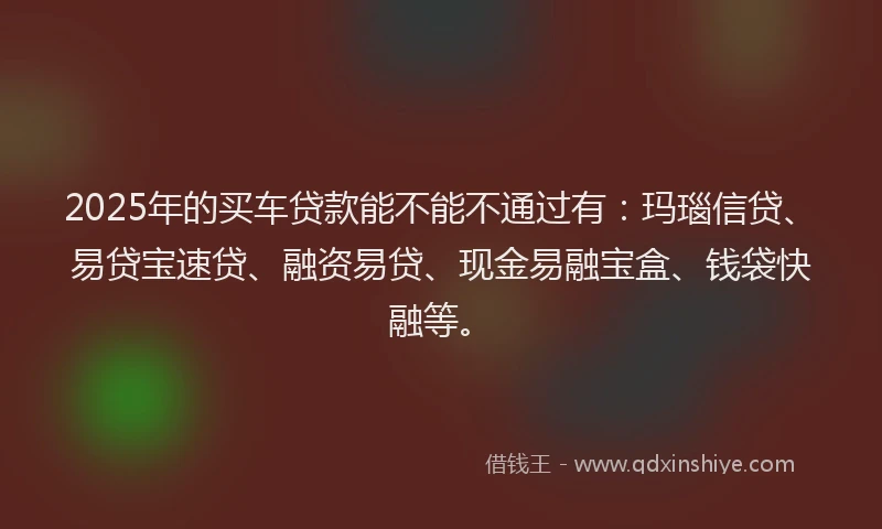 2025年的买车贷款能不能不通过有：玛瑙信贷、易贷宝速贷、融资易贷、现金易融宝盒、钱袋快融等。