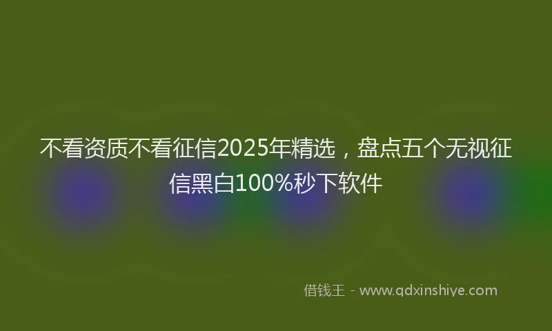 不看资质不看征信2025年精选，盘点五个无视征信黑白100%秒下软件