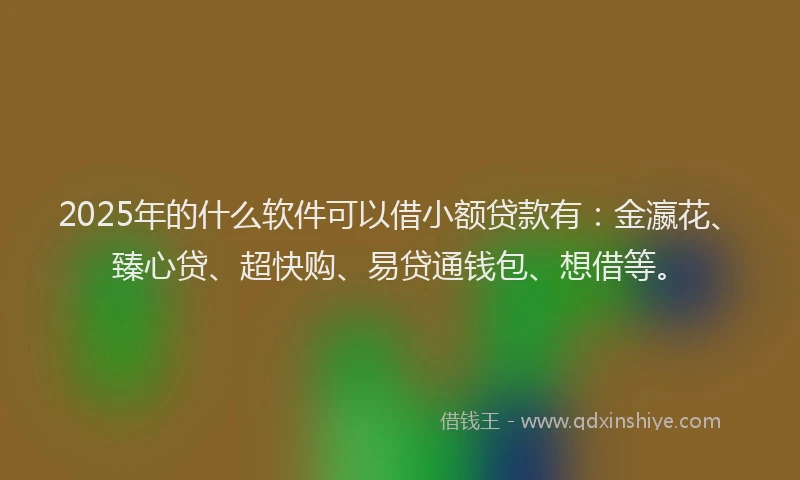 2025年的什么软件可以借小额贷款有：金瀛花、臻心贷、超快购、易贷通钱包、想借等。