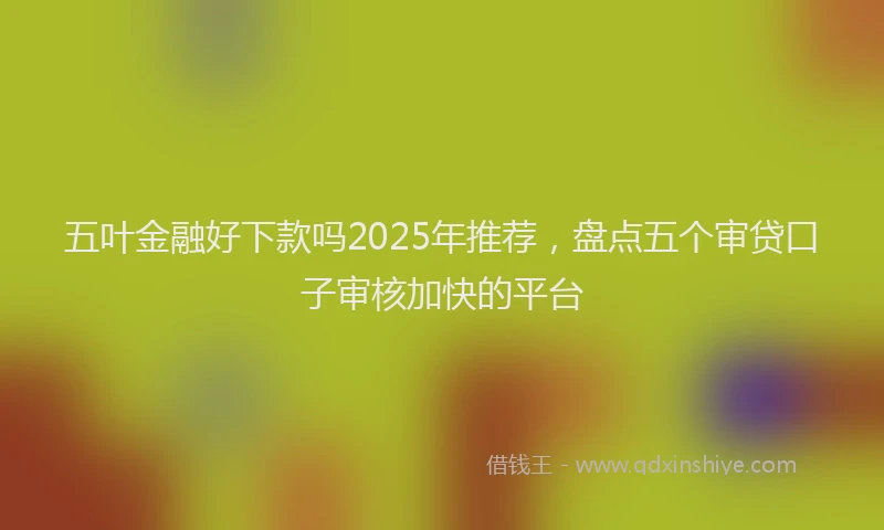 五叶金融好下款吗2025年推荐，盘点五个审贷口子审核加快的平台