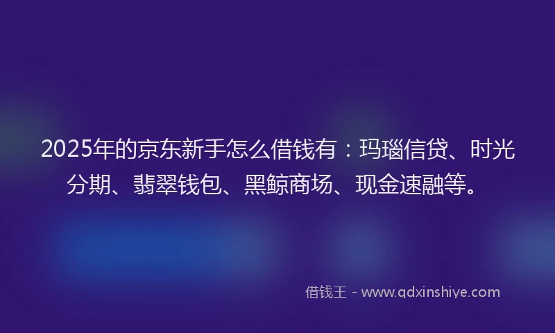 2025年的京东新手怎么借钱有：玛瑙信贷、时光分期、翡翠钱包、黑鲸商场、现金速融等。