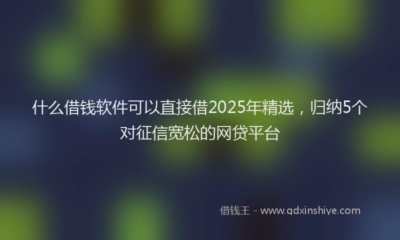 什么借钱软件可以直接借2025年精选，归纳5个对征信宽松的网贷平台