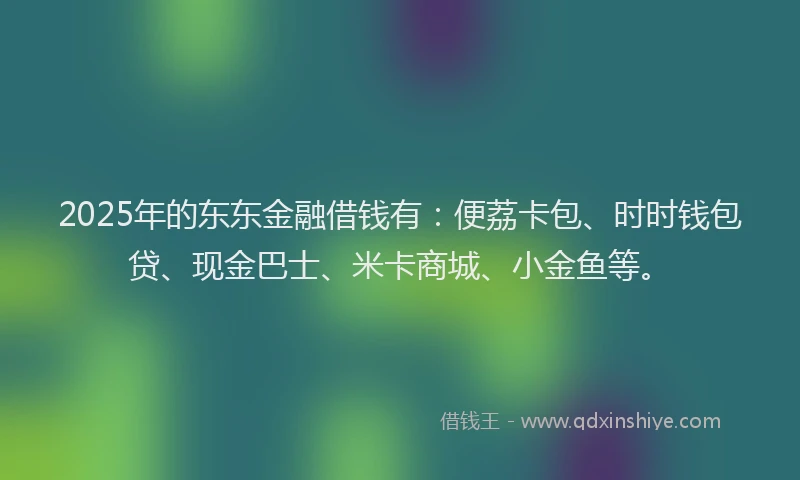 2025年的东东金融借钱有：便荔卡包、时时钱包贷、现金巴士、米卡商城、小金鱼等。