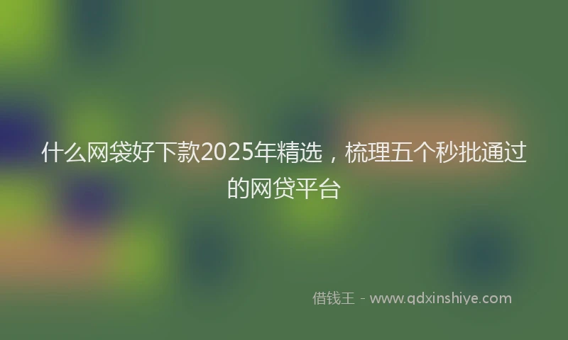 什么网袋好下款2025年精选，梳理五个秒批通过的网贷平台