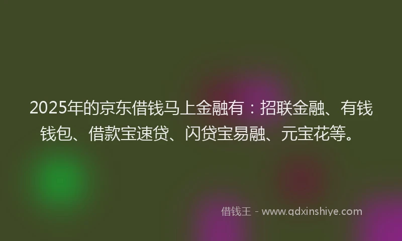 2025年的京东借钱马上金融有：招联金融、有钱钱包、借款宝速贷、闪贷宝易融、元宝花等。