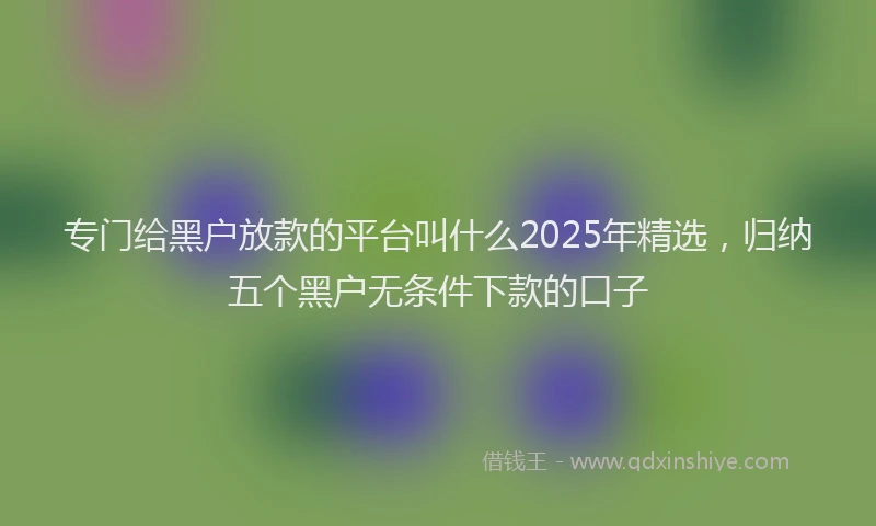 专门给黑户放款的平台叫什么2025年精选，归纳五个黑户无条件下款的口子