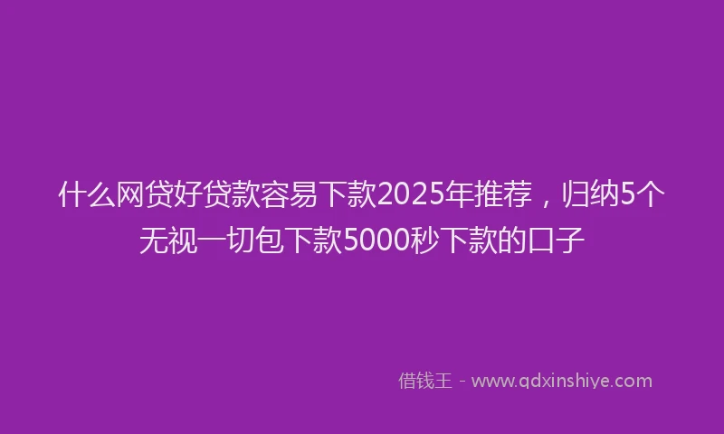 什么网贷好贷款容易下款2025年推荐，归纳5个无视一切包下款5000秒下款的口子