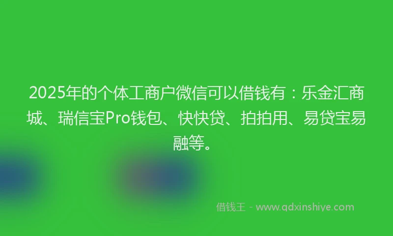 2025年的个体工商户微信可以借钱有：乐金汇商城、瑞信宝Pro钱包、快快贷、拍拍用、易贷宝易融等。