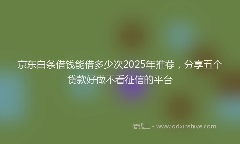 京东白条借钱能借多少次2025年推荐，分享五个贷款好做不看征信的平台