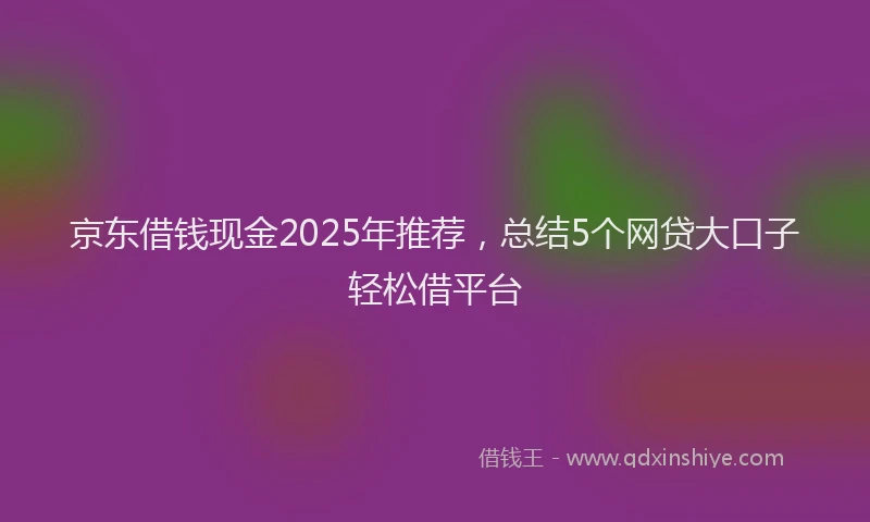 京东借钱现金2025年推荐，总结5个网贷大口子轻松借平台