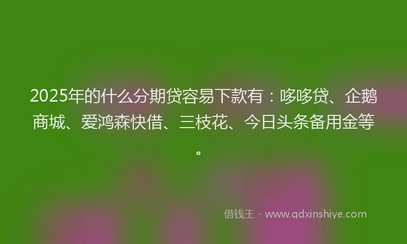 2025年的什么分期贷容易下款有：哆哆贷、企鹅商城、爱鸿森快借、三枝花、今日头条备用金等。