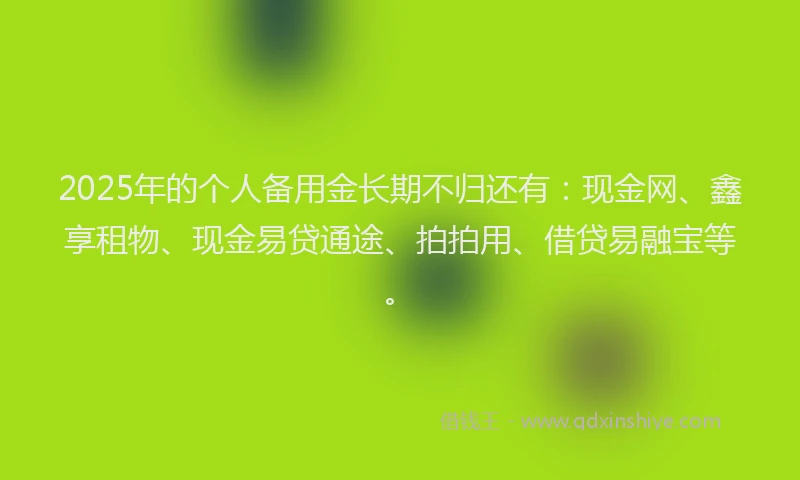 2025年的个人备用金长期不归还有：现金网、鑫享租物、现金易贷通途、拍拍用、借贷易融宝等。