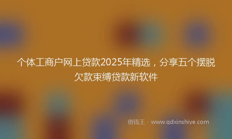 个体工商户网上贷款2025年精选，分享五个摆脱欠款束缚贷款新软件