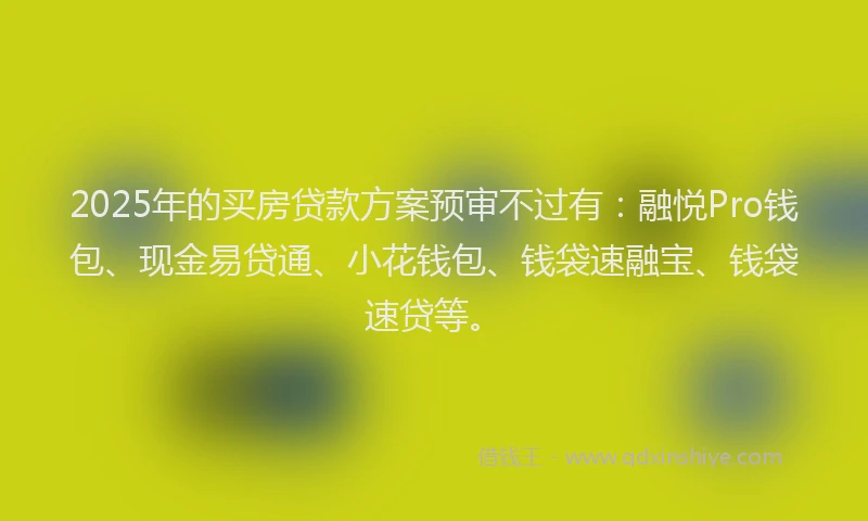 2025年的买房贷款方案预审不过有：融悦Pro钱包、现金易贷通、小花钱包、钱袋速融宝、钱袋速贷等。