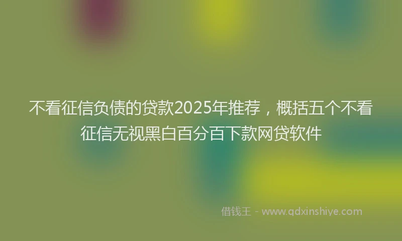 不看征信负债的贷款2025年推荐，概括五个不看征信无视黑白百分百下款网贷软件