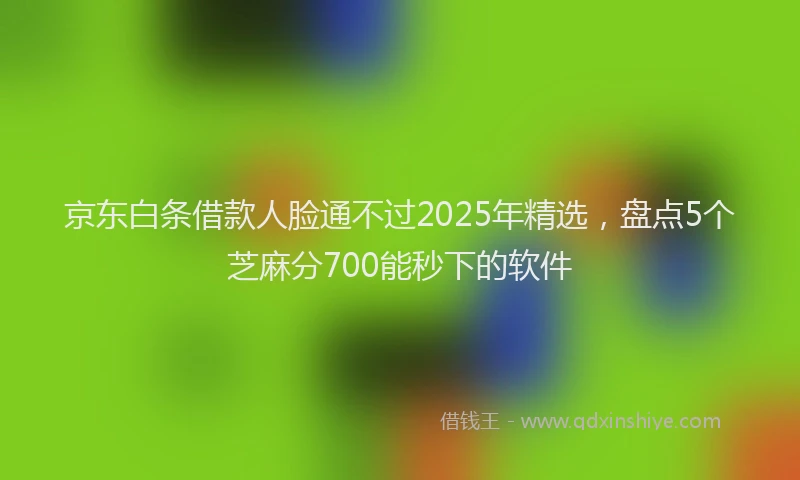 京东白条借款人脸通不过2025年精选，盘点5个芝麻分700能秒下的软件