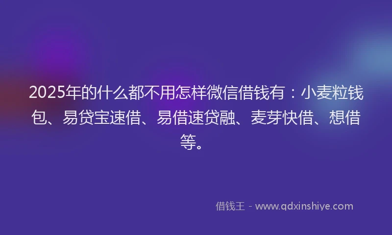 2025年的什么都不用怎样微信借钱有：小麦粒钱包、易贷宝速借、易借速贷融、麦芽快借、想借等。