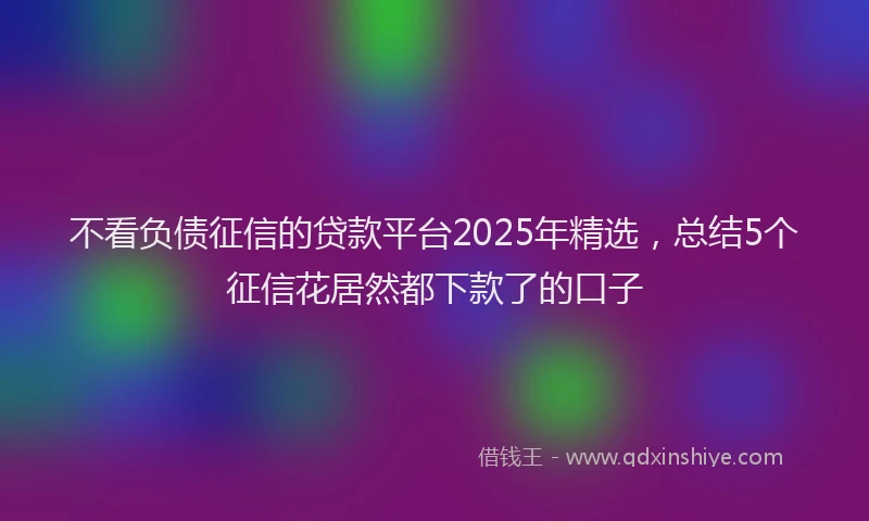 不看负债征信的贷款平台2025年精选，总结5个征信花居然都下款了的口子