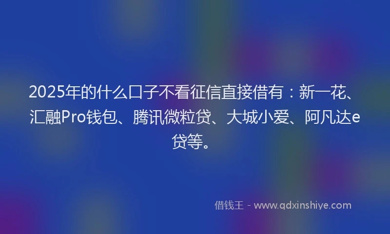 2025年的什么口子不看征信直接借有：新一花、汇融Pro钱包、腾讯微粒贷、大城小爱、阿凡达e贷等。