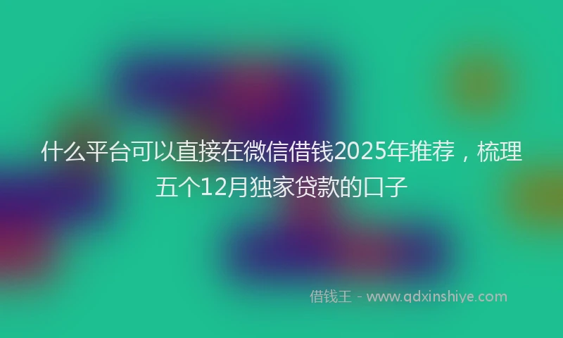 什么平台可以直接在微信借钱2025年推荐，梳理五个12月独家贷款的口子