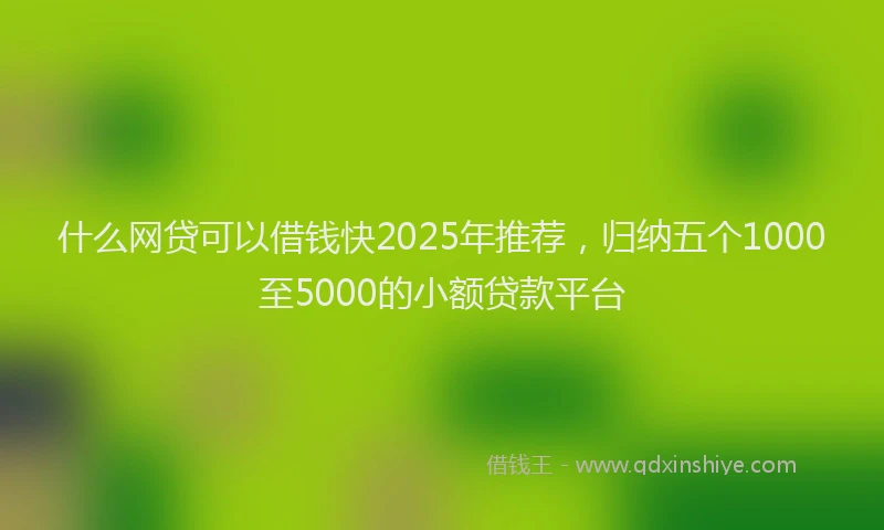 什么网贷可以借钱快2025年推荐，归纳五个1000至5000的小额贷款平台