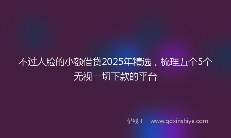 不过人脸的小额借贷2025年精选，梳理五个5个无视一切下款的平台