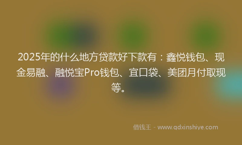 2025年的什么地方贷款好下款有：鑫悦钱包、现金易融、融悦宝Pro钱包、宜口袋、美团月付取现等。