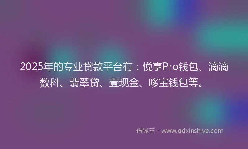 2025年的专业贷款平台有：悦享Pro钱包、滴滴数科、翡翠贷、壹现金、哆宝钱包等。