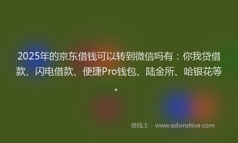 2025年的京东借钱可以转到微信吗有：你我贷借款、闪电借款、便捷Pro钱包、陆金所、哈银花等。