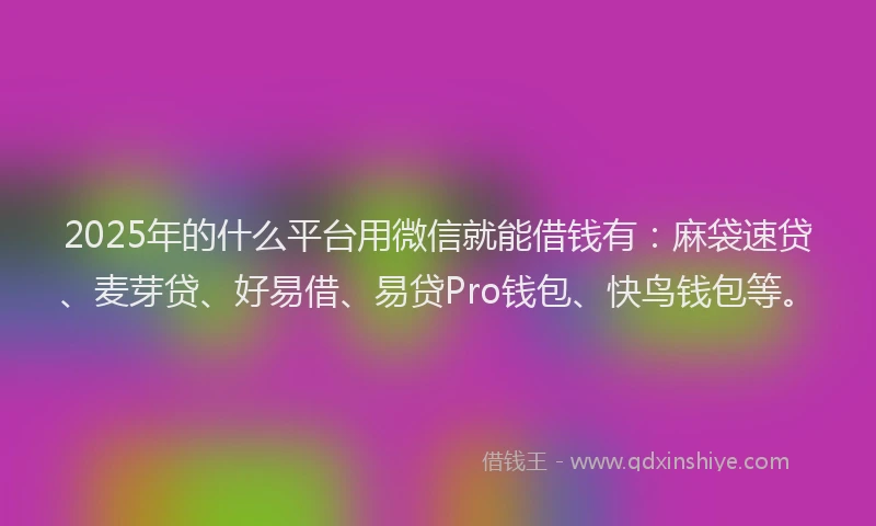 2025年的什么平台用微信就能借钱有：麻袋速贷、麦芽贷、好易借、易贷Pro钱包、快鸟钱包等。