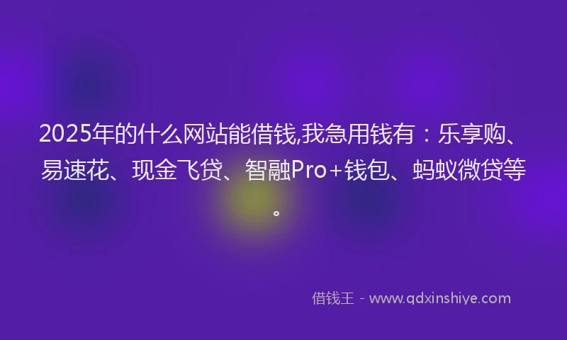 2025年的什么网站能借钱,我急用钱有：乐享购、易速花、现金飞贷、智融Pro+钱包、蚂蚁微贷等。