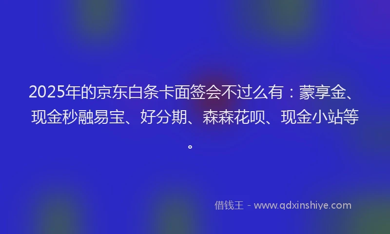 2025年的京东白条卡面签会不过么有：蒙享金、现金秒融易宝、好分期、森森花呗、现金小站等。