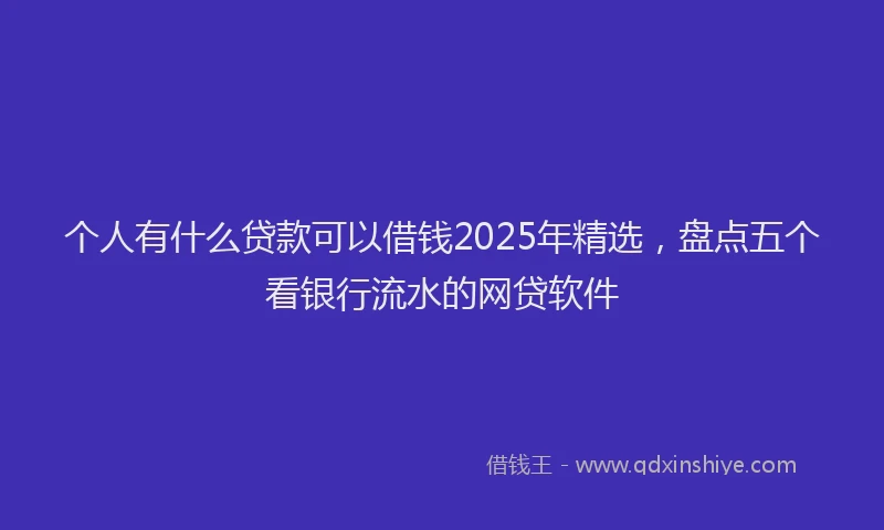 个人有什么贷款可以借钱2025年精选，盘点五个看银行流水的网贷软件