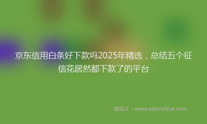 京东信用白条好下款吗2025年精选，总结五个征信花居然都下款了的平台