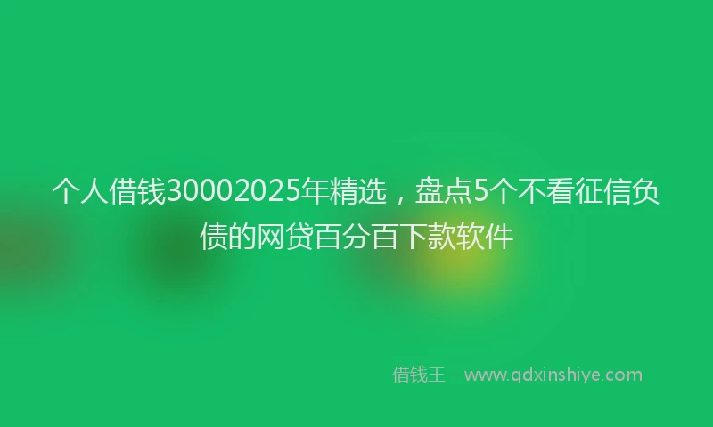 个人借钱30002025年精选，盘点5个不看征信负债的网贷百分百下款软件