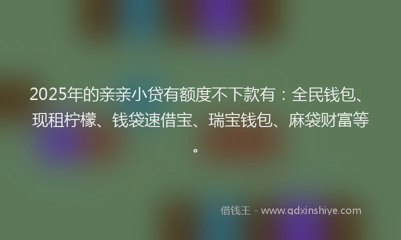 2025年的亲亲小贷有额度不下款有：全民钱包、现租柠檬、钱袋速借宝、瑞宝钱包、麻袋财富等。