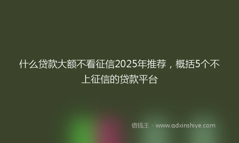 什么贷款大额不看征信2025年推荐，概括5个不上征信的贷款平台