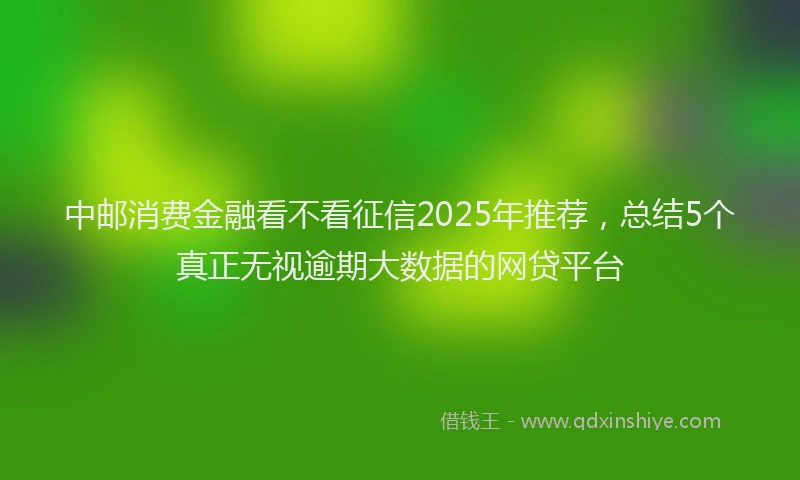 中邮消费金融看不看征信2025年推荐，总结5个真正无视逾期大数据的网贷平台