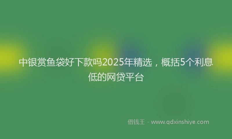中银赏鱼袋好下款吗2025年精选，概括5个利息低的网贷平台