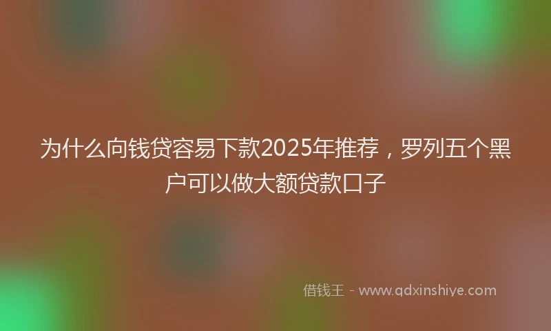 为什么向钱贷容易下款2025年推荐，罗列五个黑户可以做大额贷款口子