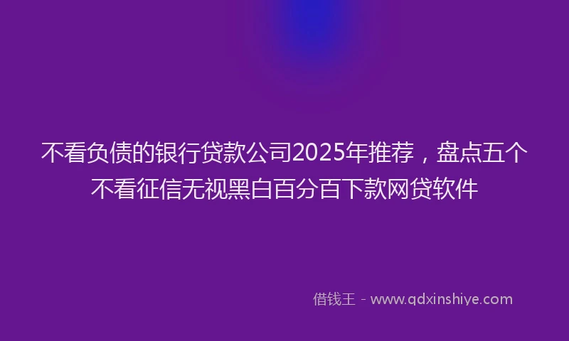 不看负债的银行贷款公司2025年推荐，盘点五个不看征信无视黑白百分百下款网贷软件